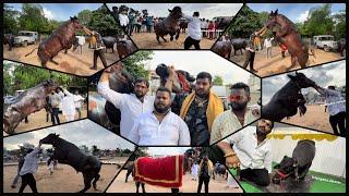 Khairatabad Sadar Festival 2022 | Madhu Yadav Garuda Bull Special Attention Of Khairtabad Sadar 2022