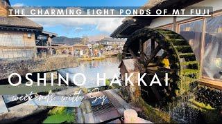 Oshino Hakkai (忍野八海) | 8 Springs of Mt. Fuji | Yamanashi, Japan | weekends with sy