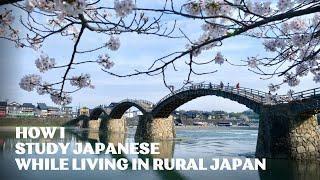 How I Study Japanese | Living in Rural Japan: Enjoy the Beautiful Cherry Blossoms in Iwakuni