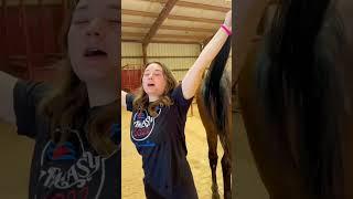 Beginner Vs Experienced Horse Owners!  #shorts #animals