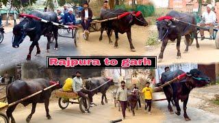 Rajpura to garh first Ravi Rajpura