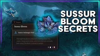 Sussur Bloom Secrets! | Baldur's Gate 3