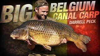 Darrell Peck - Big Belgium Canal Carp Fishing | Korda 2019