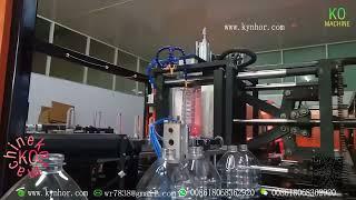 Automatic 2-cavity blow molding machine 5L pet bottle