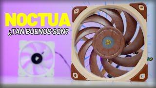 NOCTUA FANS: ¿SON MEJOR que CORSAIR?