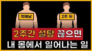 2주간 설탕을 끊었더니 생긴 놀라운 변화