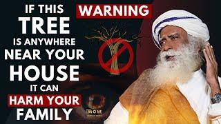 WARNINIG!!! || If This TREE is Anywhere Near Your HOUSE it Can Harm Your Family || Sadhguru MOW