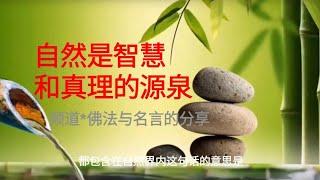 自然是智慧和真理的源泉 | 观察和研究自然界 | 了解关于生命 | 宇宙和人类 | 真理和智慧 | 更多视频在频道#佛法与名言的分享