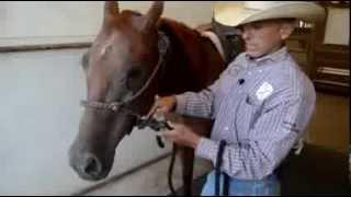 How to Properly Tie a Rope Halter