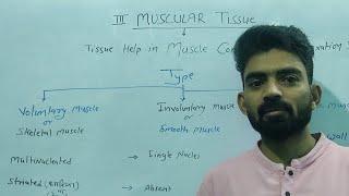 muscular tissue in anatomy and physiology | muscular tissue in hindi | maspesiy utak in hindi