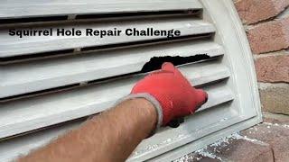 Wildlife Removal & Repair Challenge | Matching Building Materials is a BIG Challenge