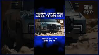 수입상용차 절반 이상은 중국산…BYD 승용 진출 앞두고 우려↑ part2