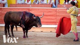 Watch what really happens after the Running of the Bulls