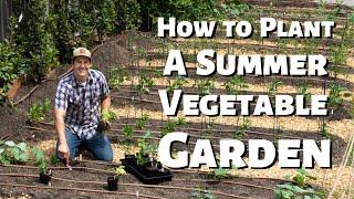 How To Plant A Vegetable Garden