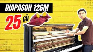 Tháo rời lớp vỏ đàn cơ để khám phá bộ máy bên trong - Review đàn Piano cơ Diapason 126M