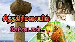 சித்தகிரிமலை/A small Vlog #Kallikkattukkari/Hills visiting Vlog /Chill Climate/siththagiri malai