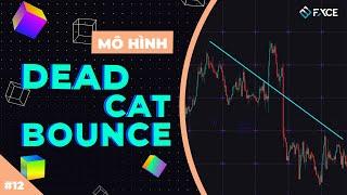 Mô Hình Giá Dead Cat Bounce (DCB) Là Gì? Cú Nảy Con Mèo Chết Trong Forex [MÔ HÌNH GIÁ]