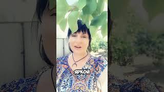 Мир нуждается в твоем сиянии