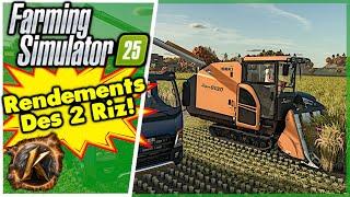 Farming simulator 25! Rendements annoncés pour les deux variétés de riz! #farmingsimulator25