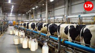 How To Produce 223 Billion Pounds Of Milk In America - Processing Factory