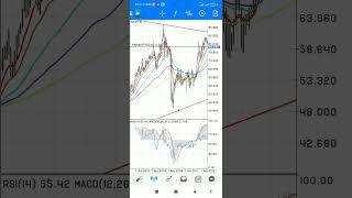 nzdjpy sell swing