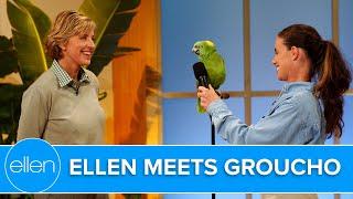 Ellen Meets Groucho the Singing Parrot