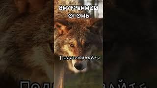 Внутренний огонь