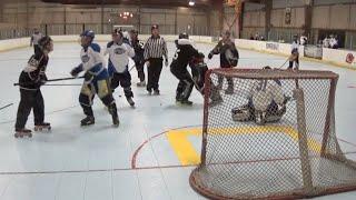 Roller Hockey Fights