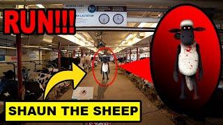 IF YOU SEE CURSED SHAUN THE SHEEP OUTSIDE OF YOUR HOUSE, RUN AWAY FAST!! |CURSED SHAUN THE SHEEP.EXE