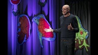 Michael Pollan - Psychedelics and How to Change Your Mind | Bioneers