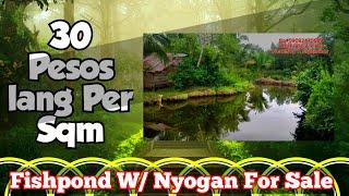 Farm lot For Sale V#107Fishpond W/ Nyogan For only 30 pesos Per sqm W/ kubo,electric & Water Source