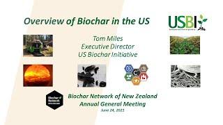 Biochar in the US: Status and Prospects