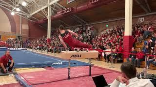 Brody Malone Pommel Horse - 2020 Stanford Open