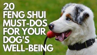 20 Feng Shui Must-Dos for Your Dog´s Well-Being