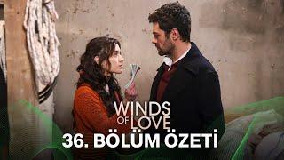 Rüzgarlı Tepe 36. Bölüm Özeti | Winds of Love Episode 36 Recap (Eng Sub)