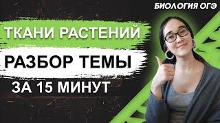 ОГЭ Биология 2022 | Экспресс-разбор тканей растений | Вся информация для ОГЭ за 15 мин