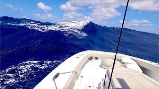 42 Freeman Catamaran vs 6-8 foot waves! Dolphinfish Catch clean Cook