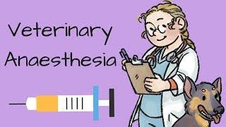 An introduction to veterinary anaesthesia