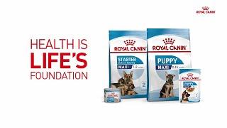 Puppy Food for a Healthy Life | Start Of Life with Royal Canin