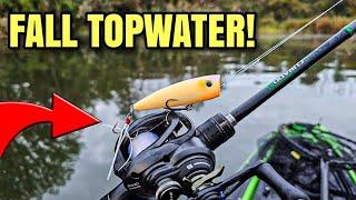 Fall Topwater Fishing a POPPER (Catch PICKY Bass!)