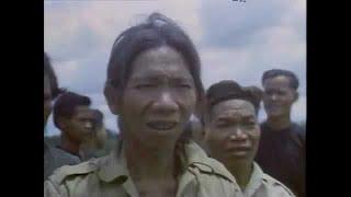 Vietnam.-    El Secreto De La Guerra. ( Documental.)