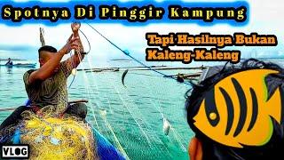 Jaring Ikan Di Pinggir Kampung Hasilnya Bukan Kaleng - Kaleng