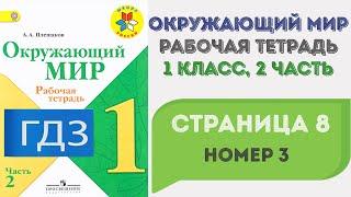 Окружающий мир. Рабочая тетрадь 1 класс 2 часть. ГДЗ стр. 8 №3