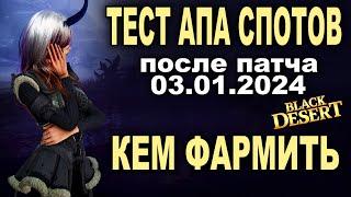 Тест спотов после апа 03.01 в БДО. Кем фармить серебро в 2024  (BDO - Black Desert)