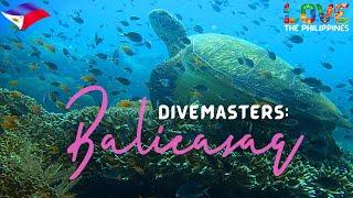 Paradise Philippines: Majestic SEATURTLES of BALICASAG Island, Bohol (Top 5 Diving) Philippines Vlog