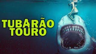 Tubarão Touro FILME COMPLETO DUBLADO | Filmes de Monstros Gigantes | Noite de Filmes