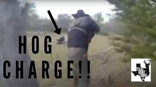 Huge Texas Hog CHARGES kid - Guide Kills pig JUST feet away from hunters - Texas Hog Hunt