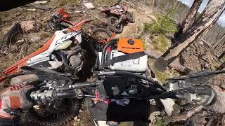 4 chainsaws clearing trail. How we leapfrog to keep things moving. Part 1