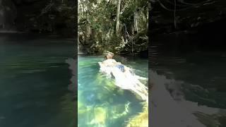 asian best bikini sexy girls swim the underwater #shortvideo #shorts #short #shortsyoutube #tiktok