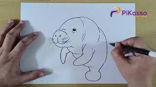 How to Draw a Manatee